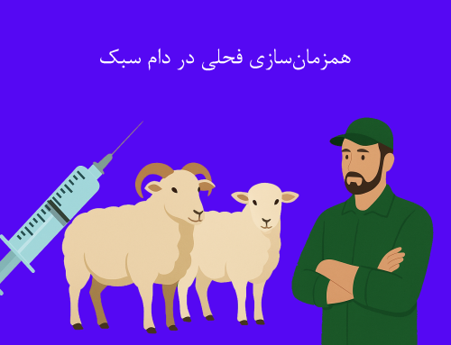 همزمان‌سازی فحلی در دام سبک؛ راهی موثر برای مدیریت گله های داشتی